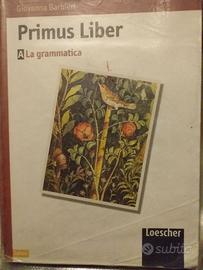 Libri scolastici di grammatica latina