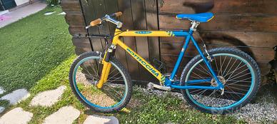 montain bike Bottecchia in permuta 
