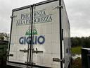 cassone-cassa-veicolo-refrigerato-usato-ottime-con