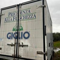 Cassone Cassa Veicolo Refrigerato Usato Ottime Con