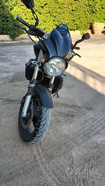 Honda Hornet 2003