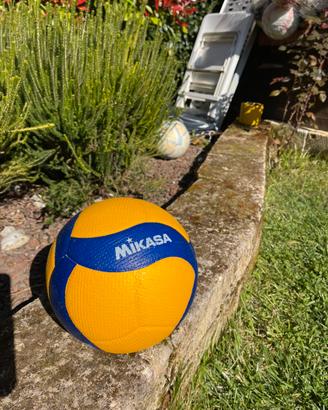 Pallavolo