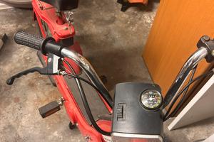 ciao  motorino