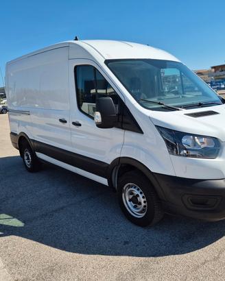 Ford Transit 290 2.0TDCi EcoBlue 130CV PM-TM Furgo