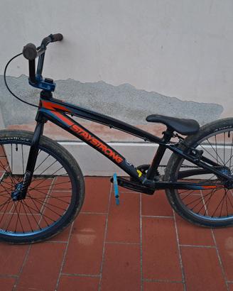 Bmx Cruiser Staystrong