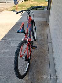 Bicicletta