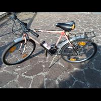 Mountain bike nero/rosa