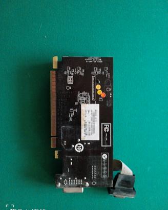 scheda video pci-e VGA 