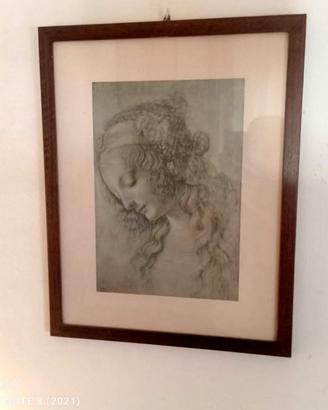 Disegni di Leonardo da Vinci 2° metà XX sec