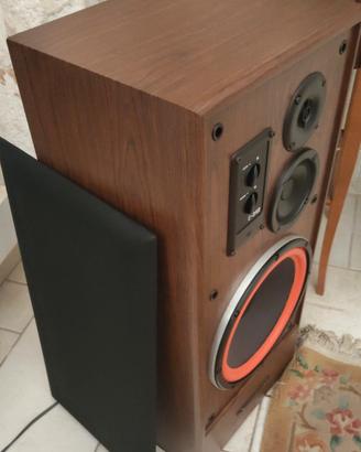 Cerwin Vega e 312