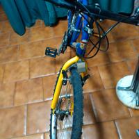 bicicletta ragazzo