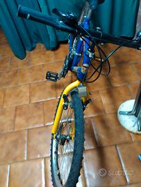 bicicletta ragazzo