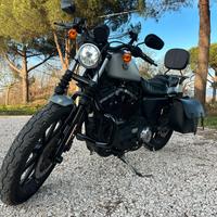 Harley-Davidson Iron 883 2020