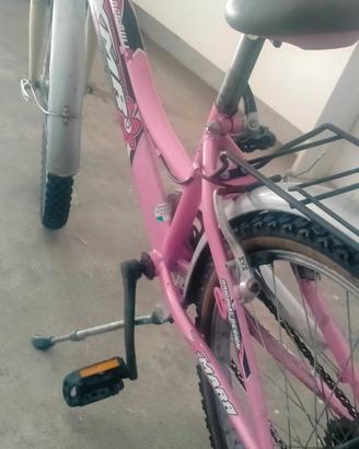 bicicletta