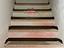 Immagine 7