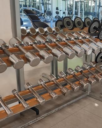 Manubri technogym cromati