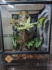Terrario