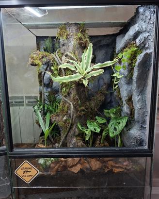 Terrario