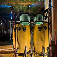 Congas e bongos meinl