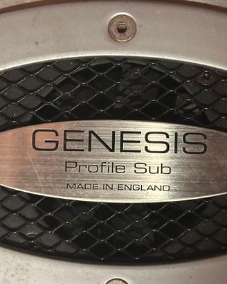 Amplificatore Genesis