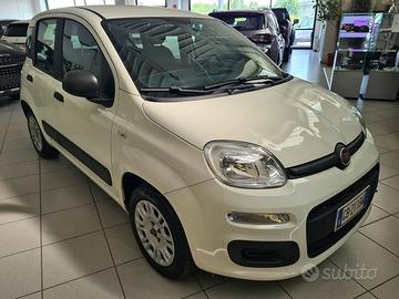 FIAT Panda 1.2 Easy easypower Gpl 69cv my19