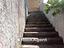 Immagine 11