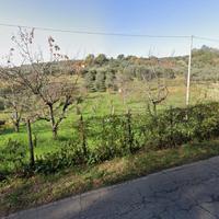 Terreno agricolo Canneto Sabino