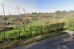 Terreno agricolo Canneto Sabino