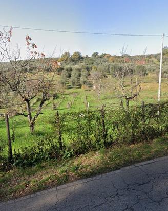 Terreno agricolo Canneto Sabino