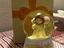 Immagine 1