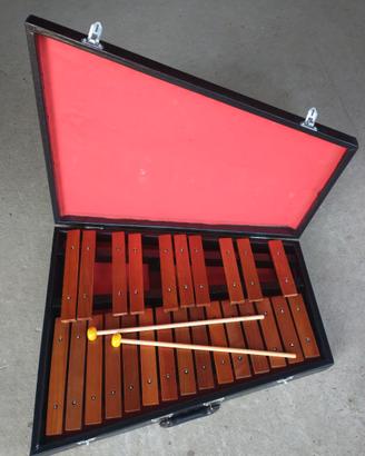 Xilofono con piastre in legno