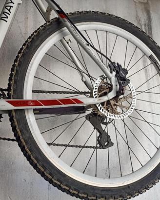 Bicicletta