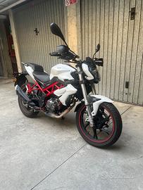 Benelli bn 125 2021