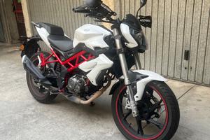 Benelli bn 125 2021