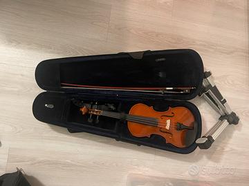 Violino