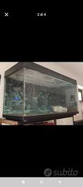 Acquario 100x50