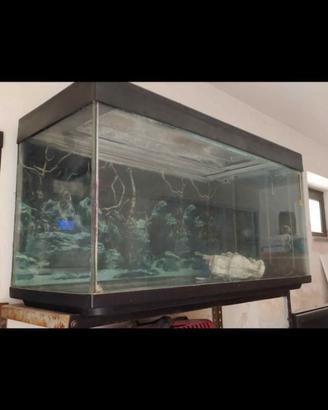 Acquario 100x50