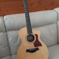 Taylor 254ce Deluxe Grand Auditorium - 12 Corde