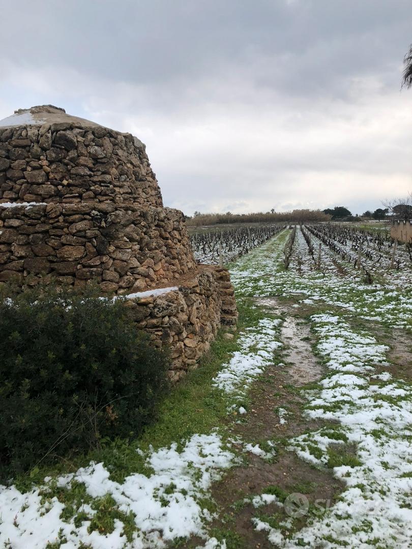 Trullo vicino al mare - Vista 4
