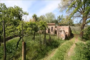 GA7 - Sinalunga (parte alta) garage di ci