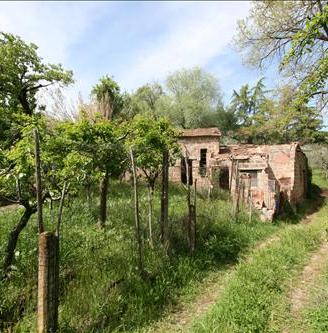 GA7 - Sinalunga (parte alta) garage di ci