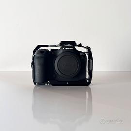 Canon R6 mk II