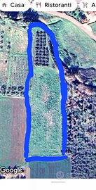 Terreno pianeggiante