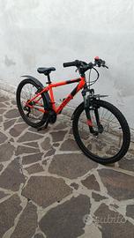 bicicletta ragazzo