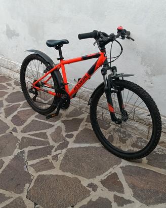 bicicletta ragazzo