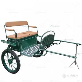 Carrozze per cavalli