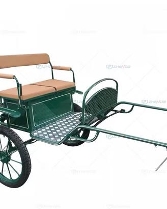 Carrozze per cavalli