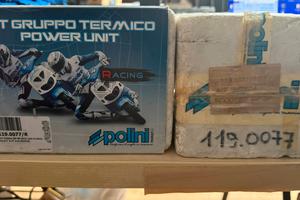 Gruppi termici polini per honda Dio verticale