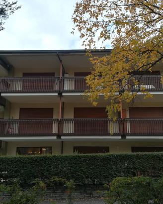 Ampio monolocale ben arredato