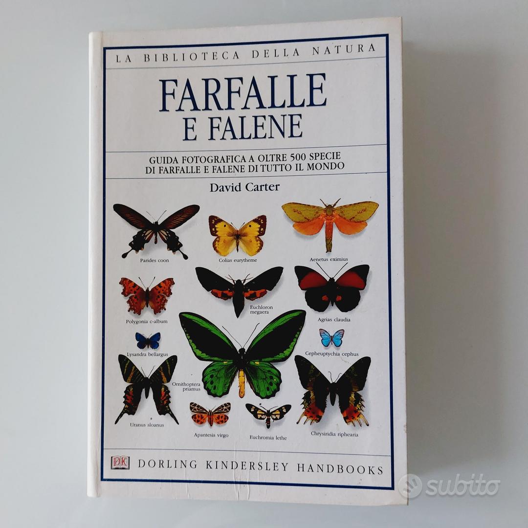 farfalle e falene - Libri e Riviste In vendita a Reggio Emilia